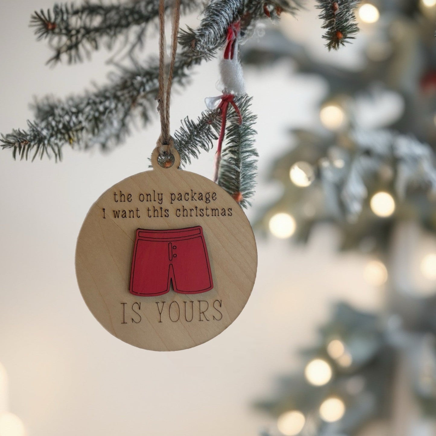Package Ornament – Funny Christmas Design